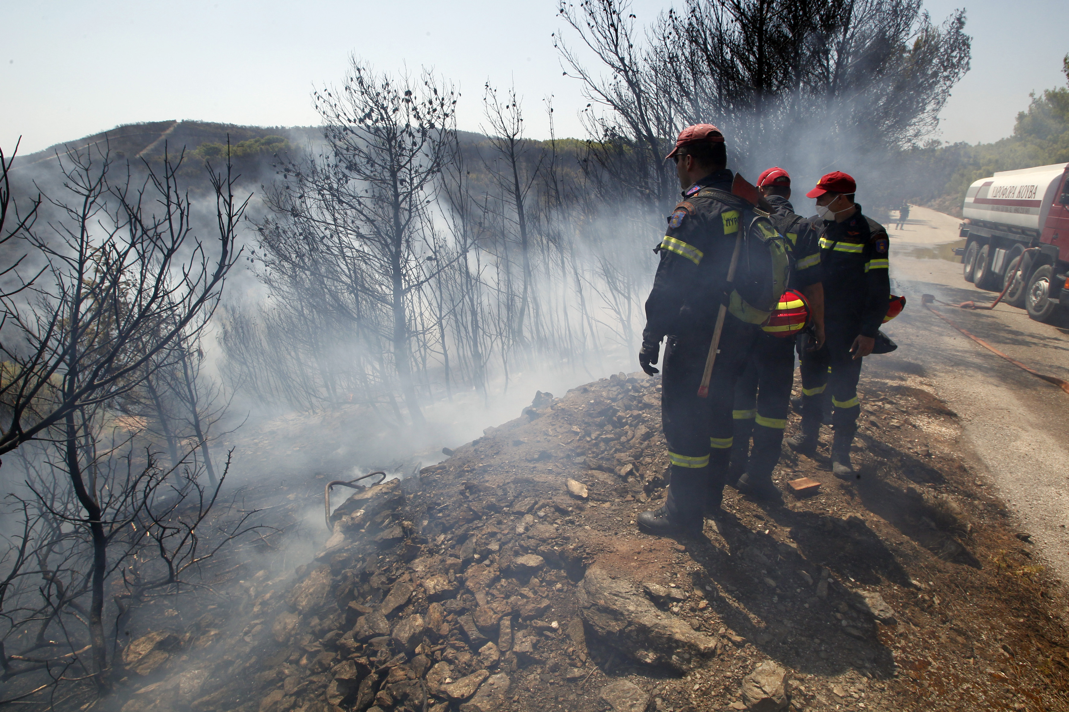 WWF: Ανάγκη για αποτελεσματική οργάνωση της δασοπροστασίας