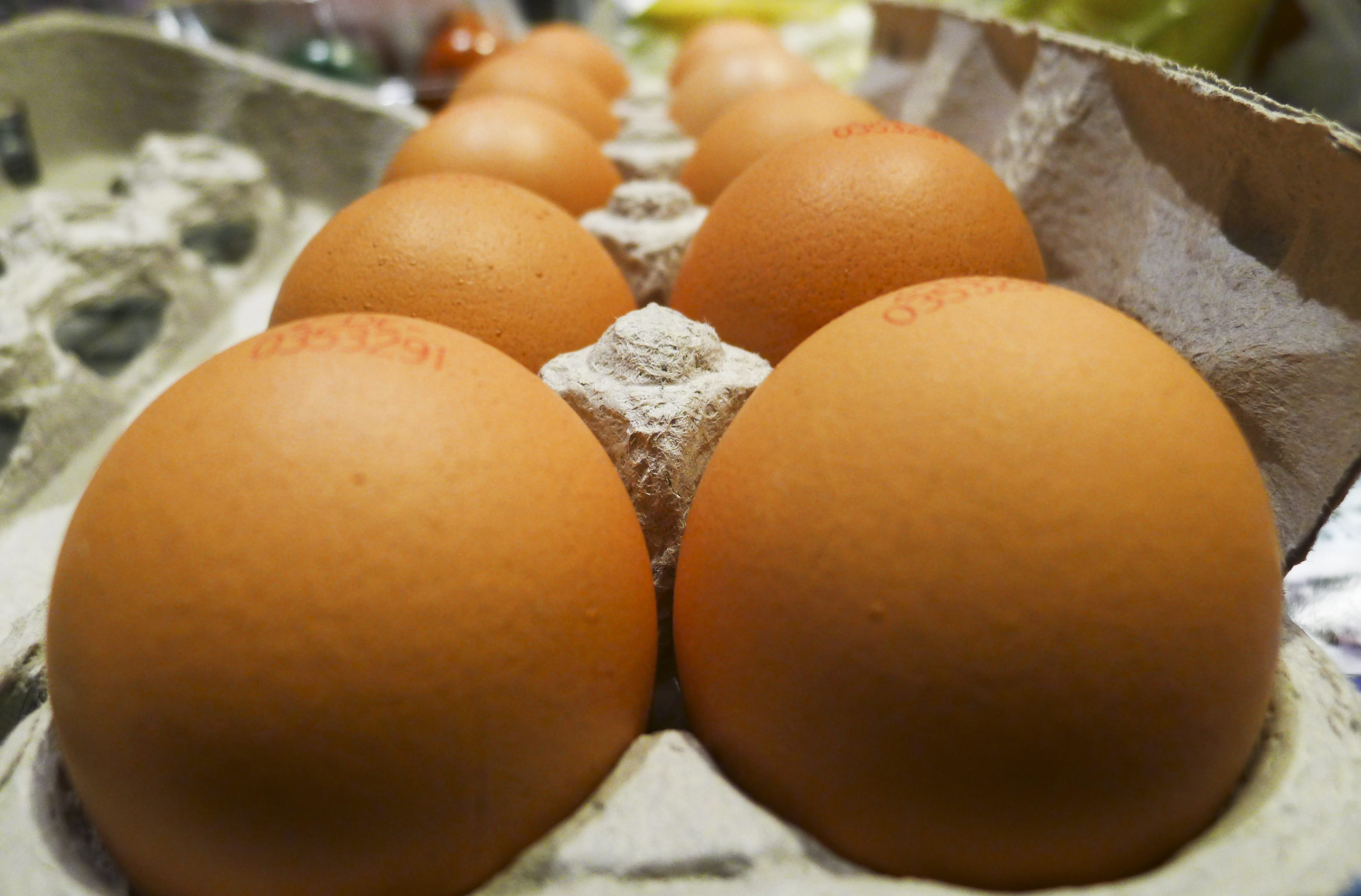 Αβγά με διοξίνη εντοπίστηκαν και αποσύρθηκαν στην Γερμανία
