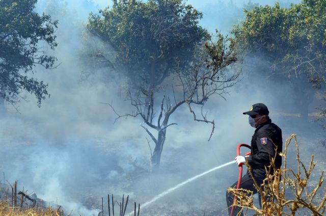 Πύρινα μέτωπα σε Ηλεία και Θεσσαλονίκη