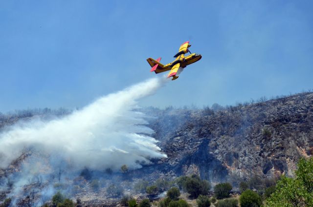 Υπό έλεγχο η πυρκαγιά στην Αμφίκλεια Φθιώτιδας
