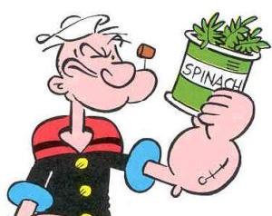 Το σπανάκι ενδυναμώνει τους μυς