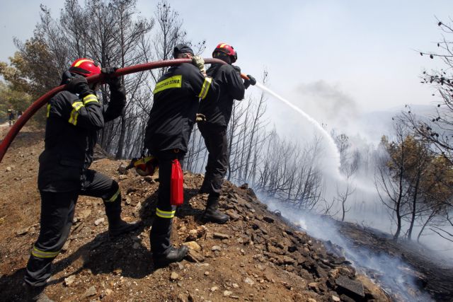 Πύρινα μέτωπα στη Λακωνία, υπό έλεγχο φωτιά στη Γορτυνία και το Μαρκόπουλο