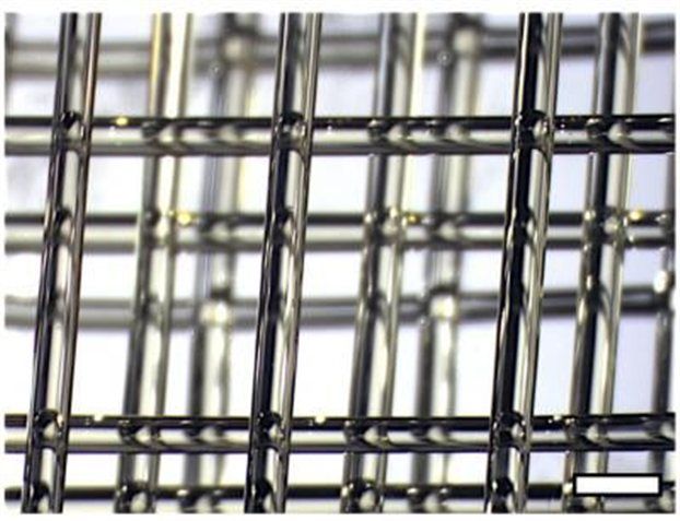 Σκαλωσιά από ζάχαρη ανοίγει το δρόμο για όργανα εργαστηρίου