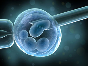 Ασφαλής η προεμφυτευτική γενετική διάγνωση κατά την εξωσωματική γονιμοποίηση