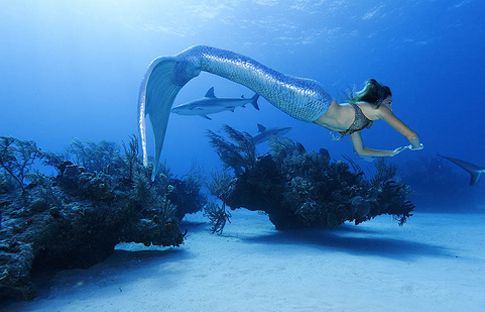 «Γοργόνες δεν υπάρχουν» διαβεβαιώνει η ομοσπονδιακή κυβέρνηση των ΗΠΑ