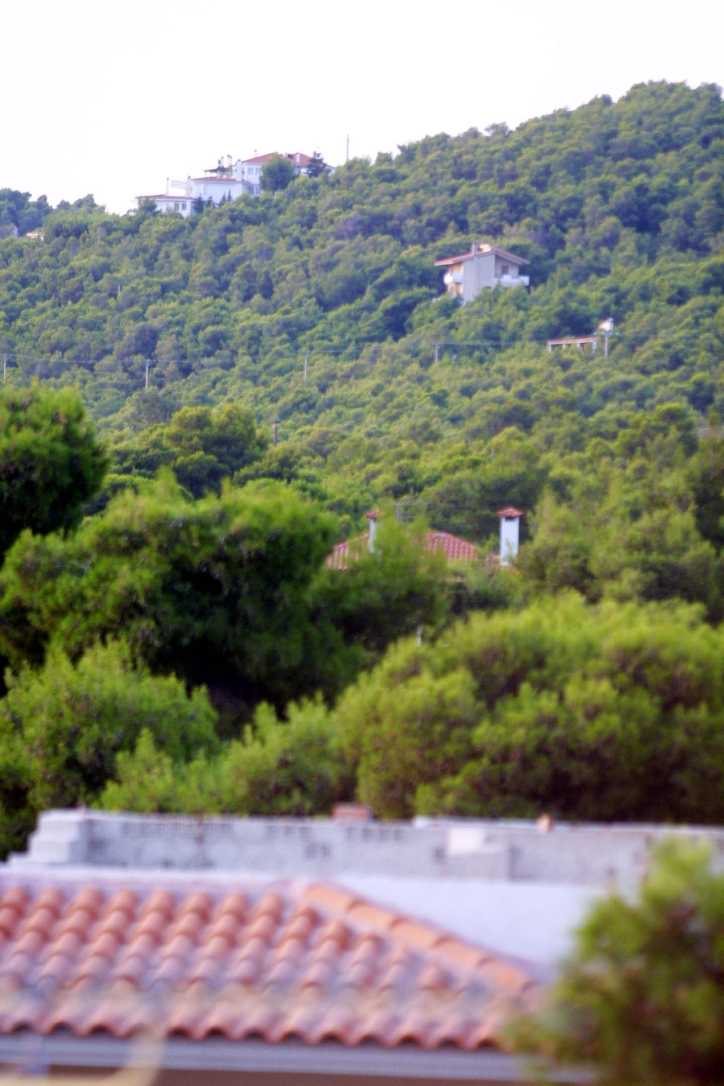 WWF Ελλάς: Βατερλό για την περιβαλλοντική νομοθεσία