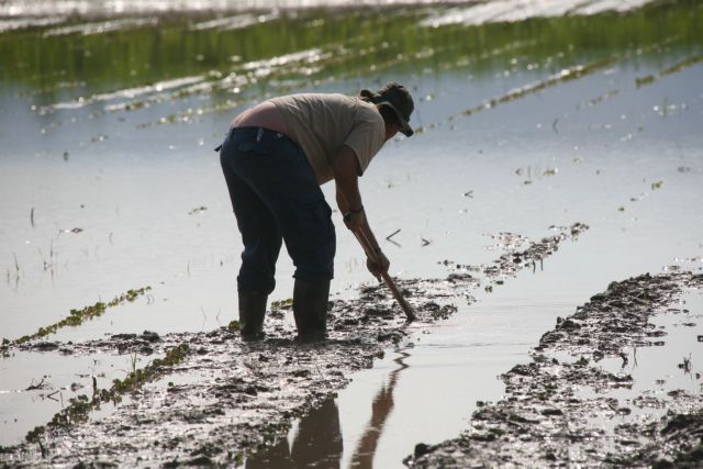 Επιστολή ΠΑΣΕΓΕΣ στον πρωθυπουργό για τις προτεραιότητες στον αγροτικό τομέα