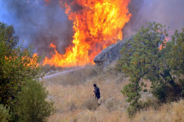 Σε ύφεση το πύρινο μέτωπο στην Ιστιαία