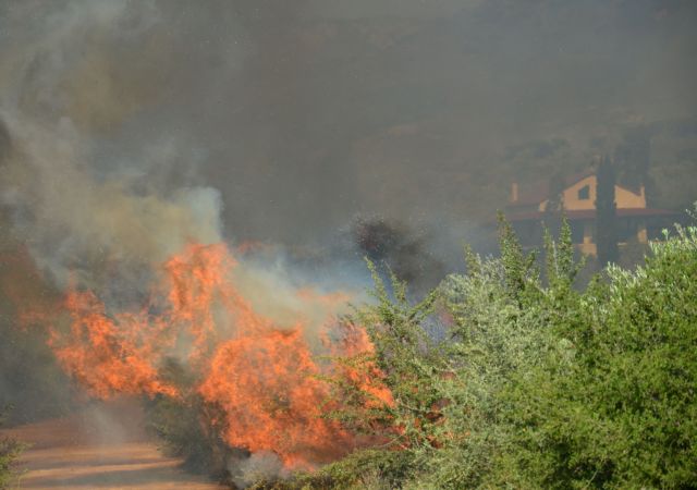 Σε εξέλιξη πυρκαγιές σε Θεσσαλονίκη και Κω