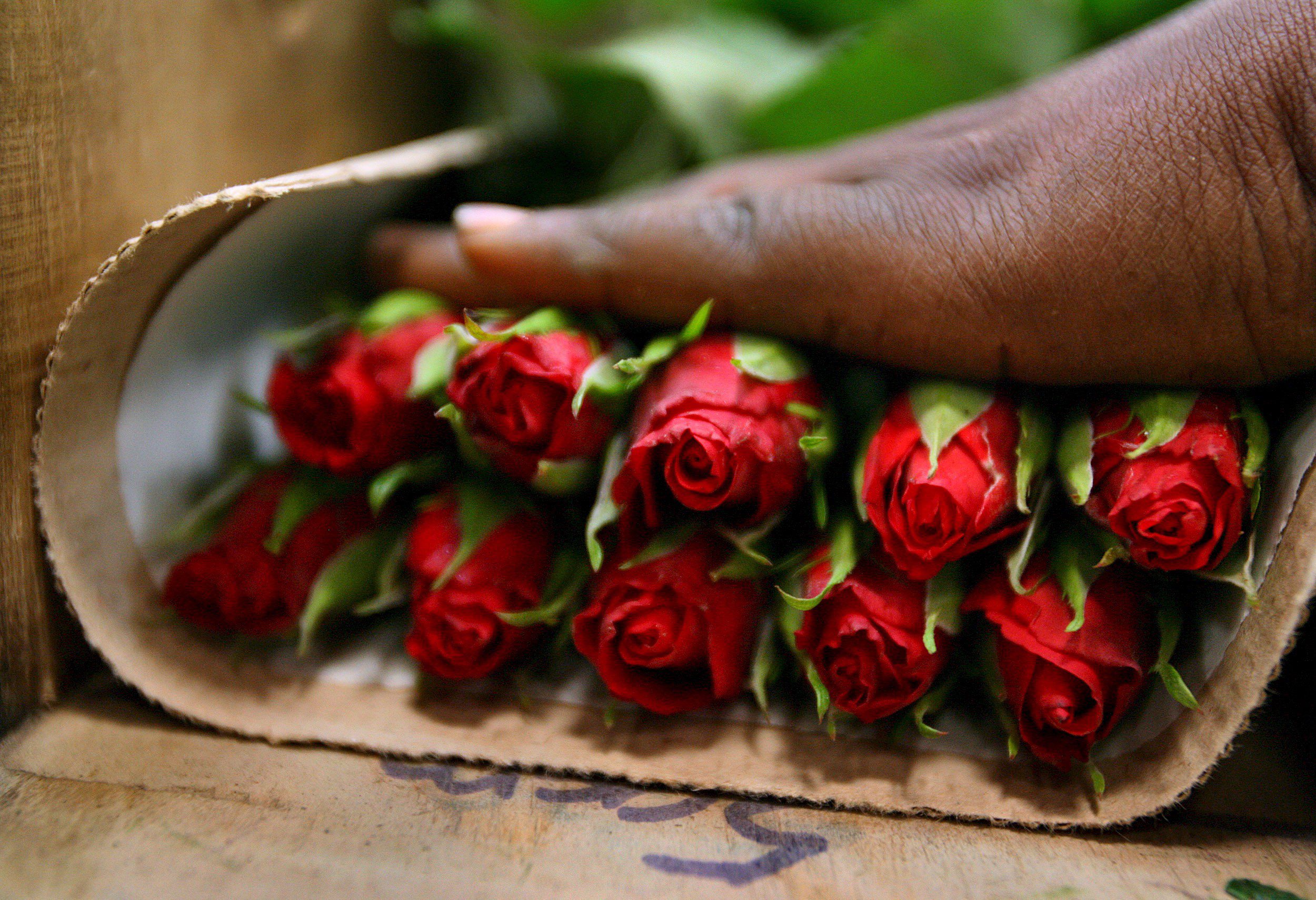 Ιρανικό δικαστήριο υποχρέωσε σύζυγο να αγοράσει 777 τριαντάφυλλα στη γυναίκα του