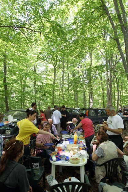 «Πράσινο φως» από το ΣτΕ για συνέχιση των έργων στα μεταλλεία χρυσού στη Χαλκιδική