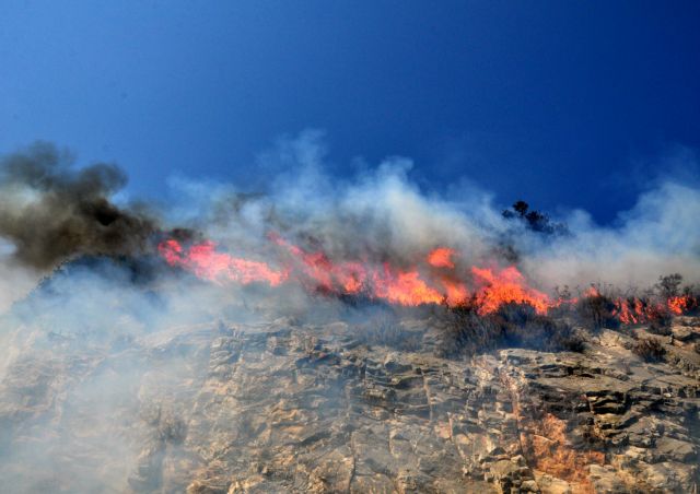 Φωτιά στην περιοχή Φάρσα στην Κεφαλλονιά