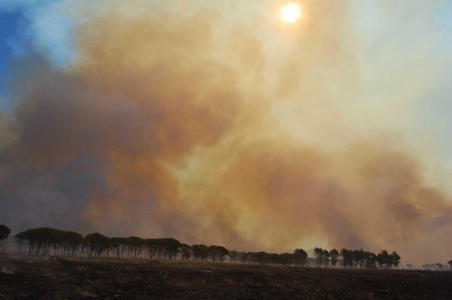 Δεκάδες πύρινα μέτωπα στη Σικελία, έχασε τη ζωή του δασοπυροσβέστης