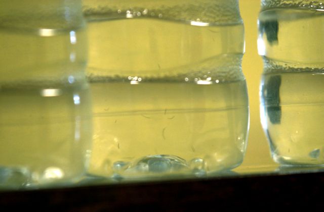 Ανακοίνωση του ΕΦΕΤ για απόσυρση εμφιαλωμένων νερών, λόγω ανίχνευσης βακτηρίου