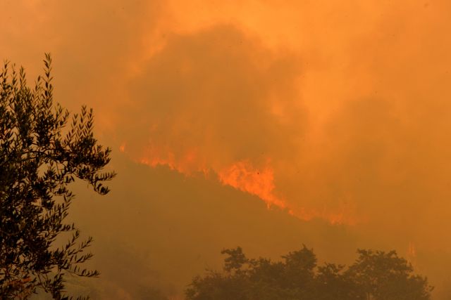 Πύρινα μέτωπα στην Κύπρο – Εκκενώθηκε χωριό στην επαρχία Λάρνακας