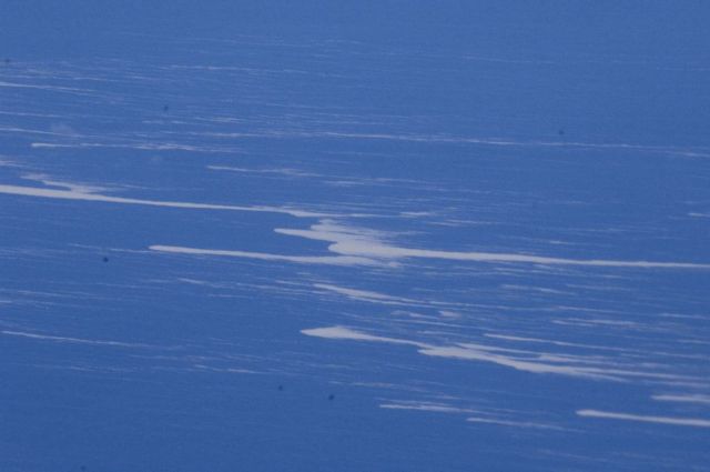 Εντοπίστηκε το ηφαίστειο που προκάλεσε το «νησί από ελαφρόπετρα» στη Νέα Ζηλανδία