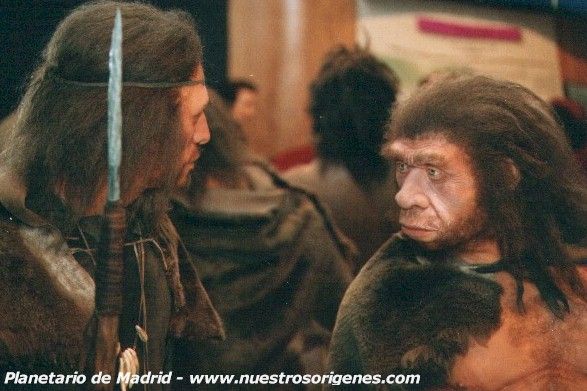 Υπό αμφισβήτηση η γενετική επιμιξία των Homo sapiens με τους Νεάντερνταλ