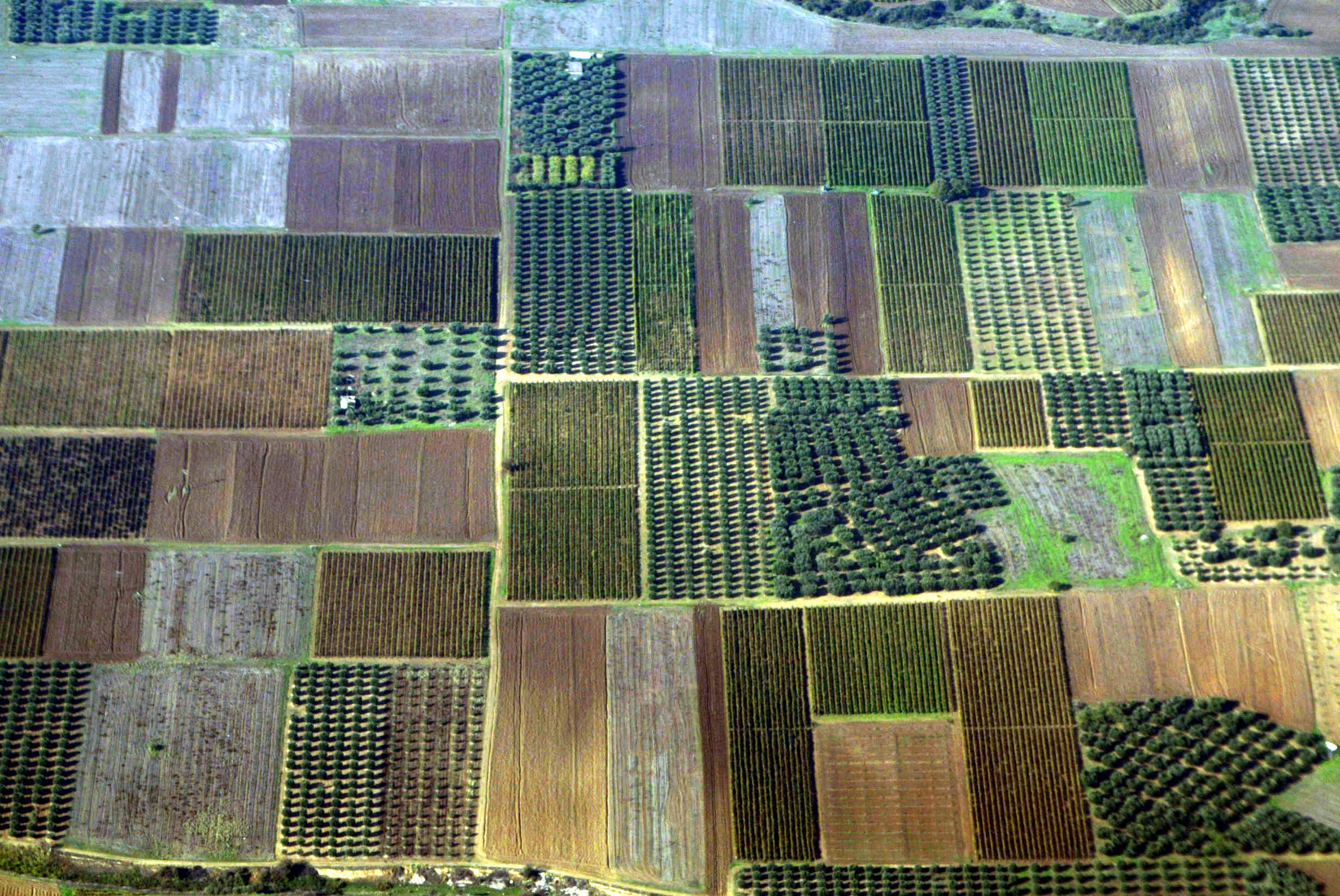 Ενισχύσεις 1,1 δισ. ευρώ θα καταβληθούν τον Οκτώβριο στους αγρότες