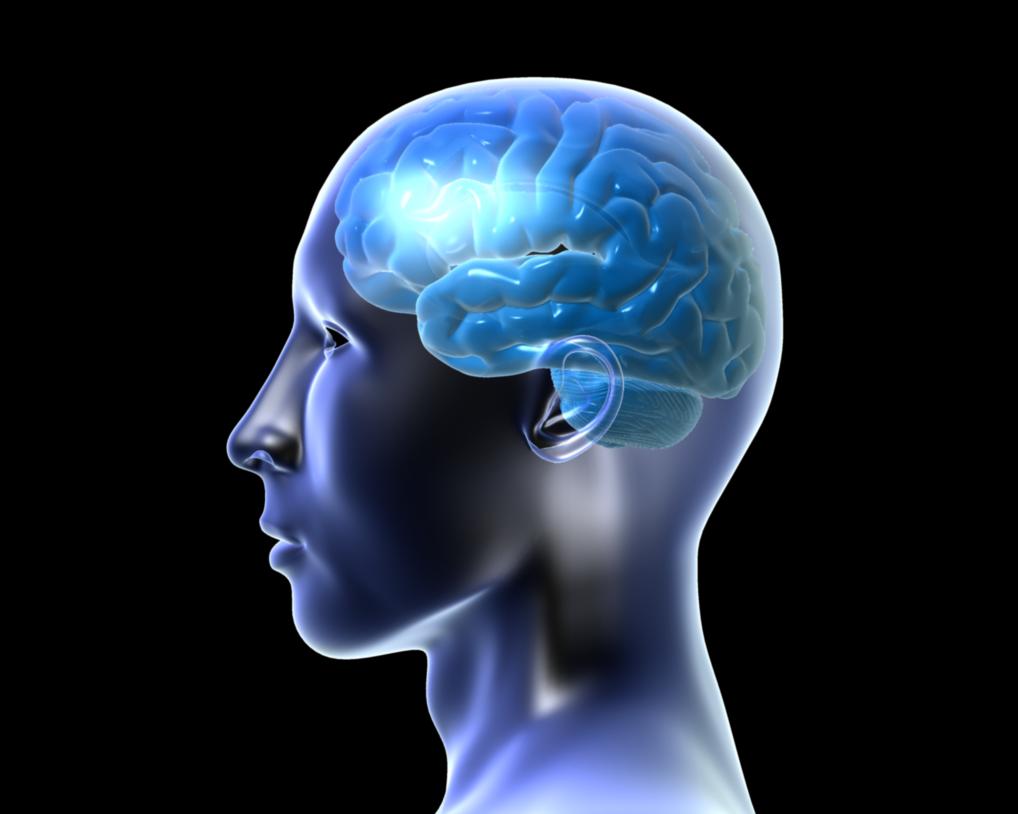 Ανακαλύφθηκε άγνωστο έως τώρα «αποχετευτικό» σύστημα καθαρισμού του εγκεφάλου
