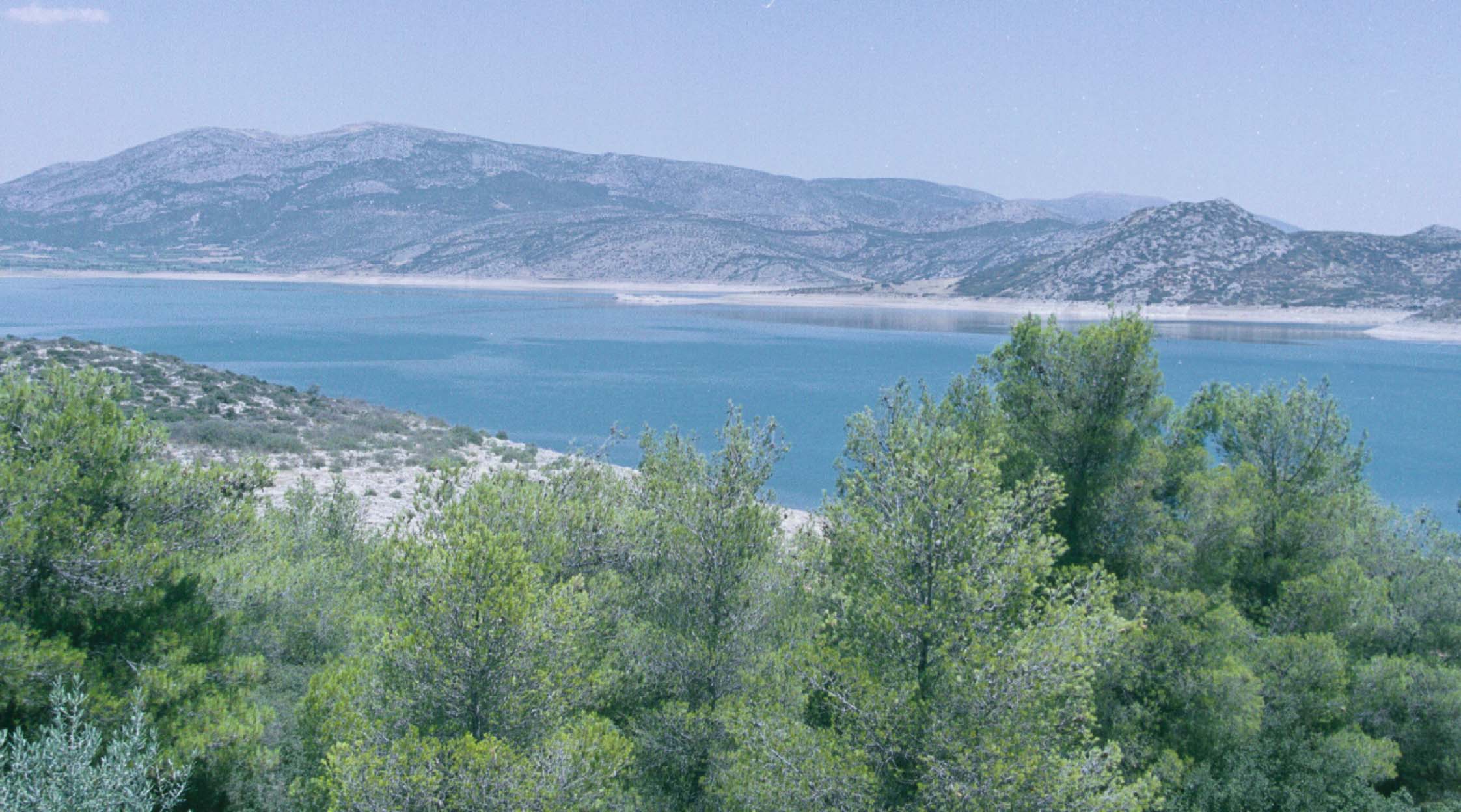 Ανθρωποκυνηγητό της ΕΛ.ΑΣ. για τη σύλληψη των απαγωγέων επιχειρηματία στα Οινόφυτα