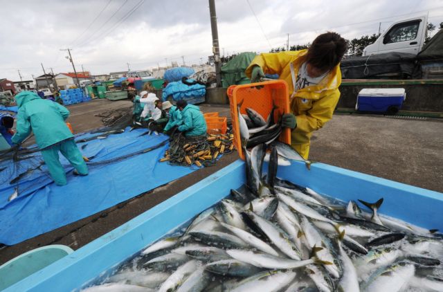 Ραδιενέργεια ρεκόρ στα ψάρια σε θαλάσσια περιοχή ανοιχτά της Φουκουσίμα
