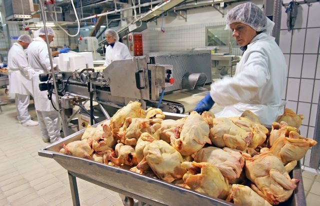 Την ύπαρξη καρτέλ στην πτηνοτροφία ερευνά η Επιτροπή Ανταγωνισμού