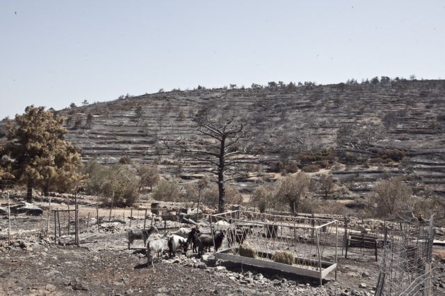 Δέκα μέτρα για ανακούφιση στις πληγείσες επιχειρήσεις της Χίου ζητεί η ΕΣΕΕ