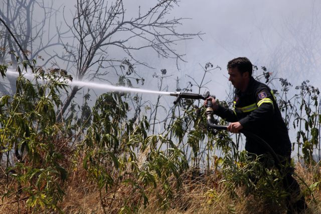 Υπό μερικό έλεγχο τα πύρινα μέτωπα σε Φθιώτιδα και Μεσσηνία