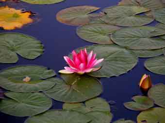 Βόλτα στα θεματικά πάρκα της Νέας Παραλίας