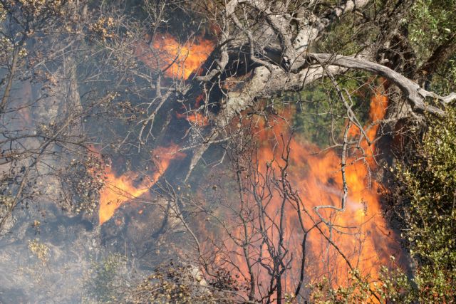 Ποινή φυλάκισης δύο ετών σε 58χρονο για εμπρησμό στην Ιεράπετρα