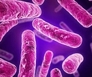 Η συχνότητα της πολυανθεκτικής φυματίωσης δημιουργεί επιστημονικές ανησυχίες