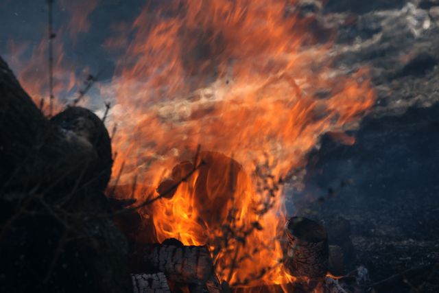 Πύρινο μέτωπο σε δασική έκταση στα Μεσοχώρια Ευβοίας