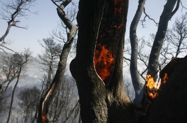 Σε εξέλιξη, αλλά περιορισμένη η φωτιά στο Μαρμάρι Εύβοιας