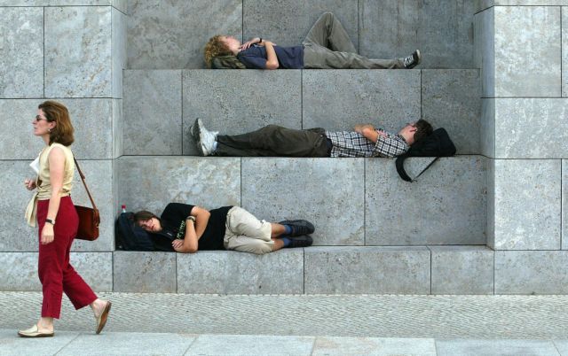 Πείραμα σε τρωκτικά  δημιουργεί «όνειρα κατά παραγγελία»