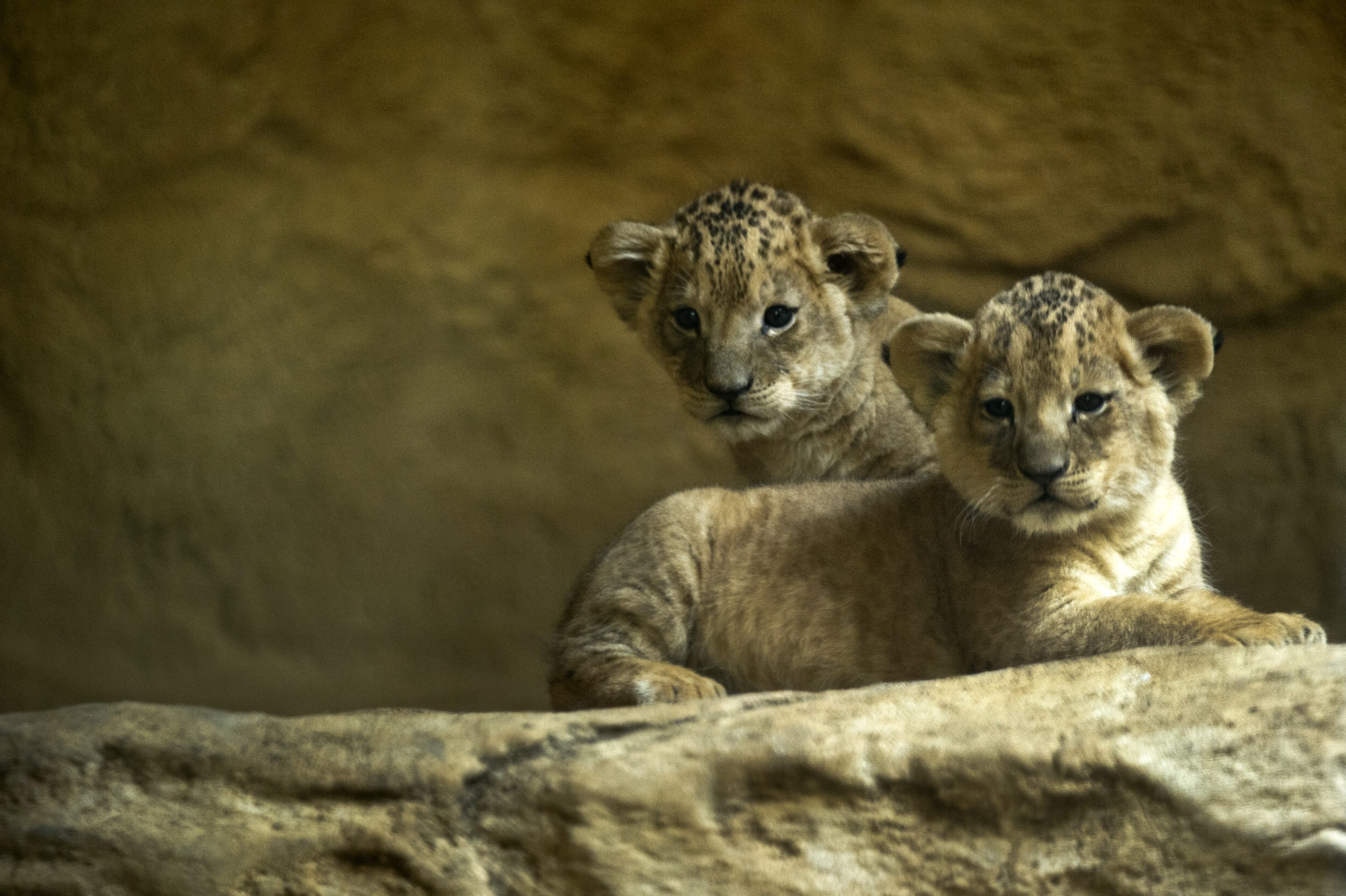 Η ημέρα σε φωτογραφίες (7 Σεπτεμβρίου 2012)