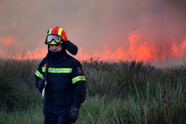 Συνελήφθη 32χρονος που ομολόγησε 21 εμπρησμούς στη Μεσσηνία