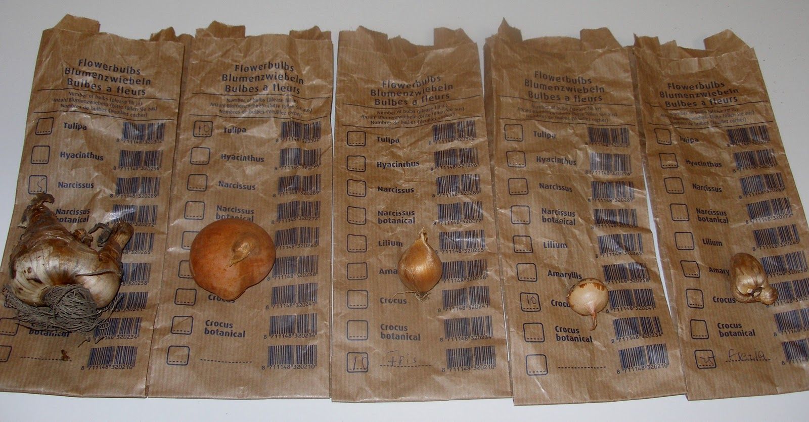 Χειμωνιάτικοι βολβοί: τους φυτεύω και περιμένω τα άνθη τους την άνοιξη