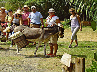 Εκπαιδευτικό Βιωματικό Πρόγραμμα «ΤΡΥΓΟΠΑΤΙ»
