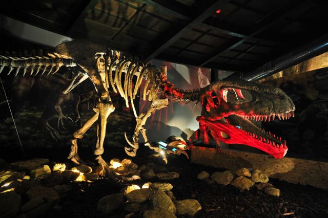 Δεινόσαυροι της Παταγονίας αναβιώνουν τον Οκτώβριο στο Ολυμπιακό Κέντρο Γουδή