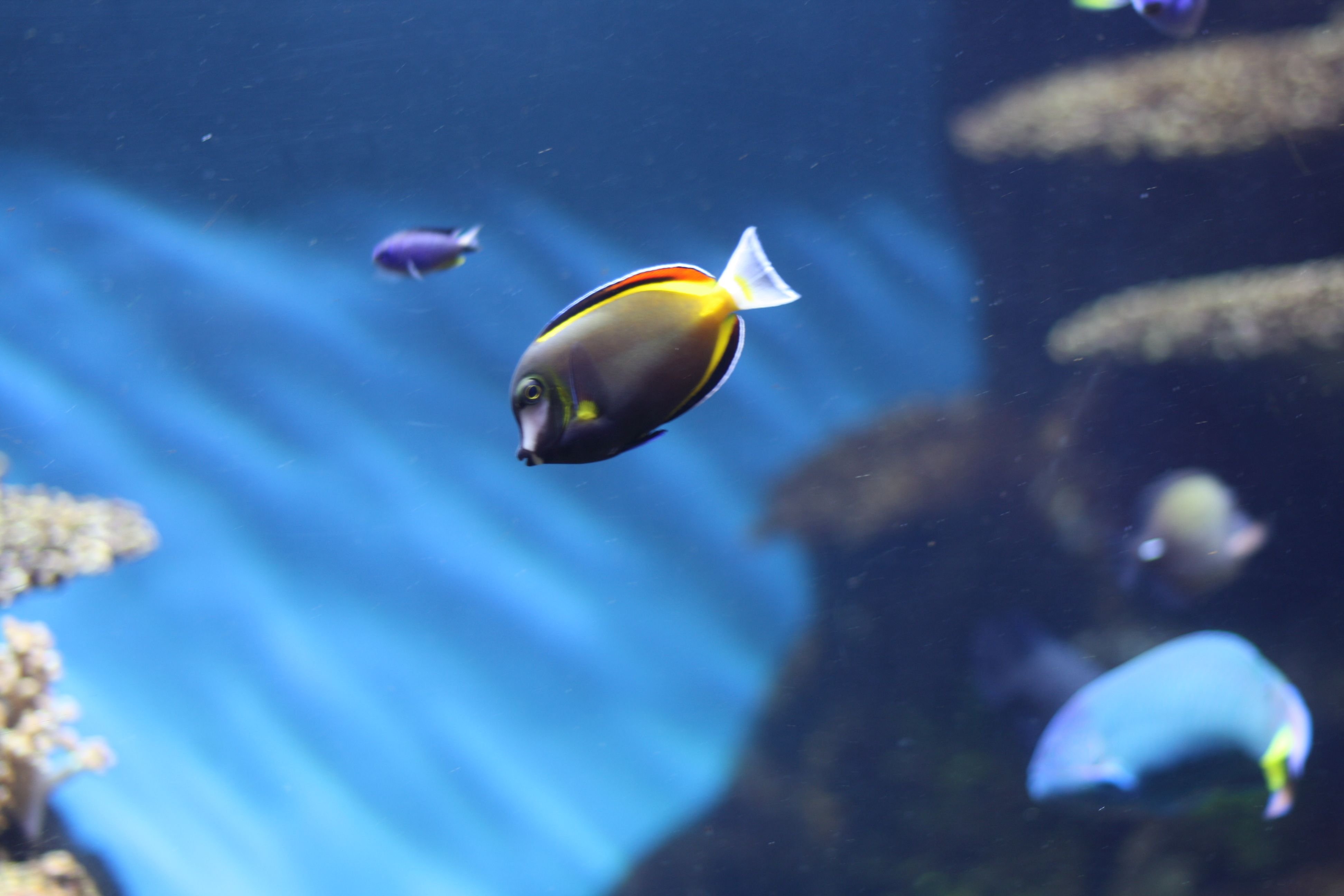 Η ημέρα σε φωτογραφίες (19 Σεπτεμβρίου 2012)