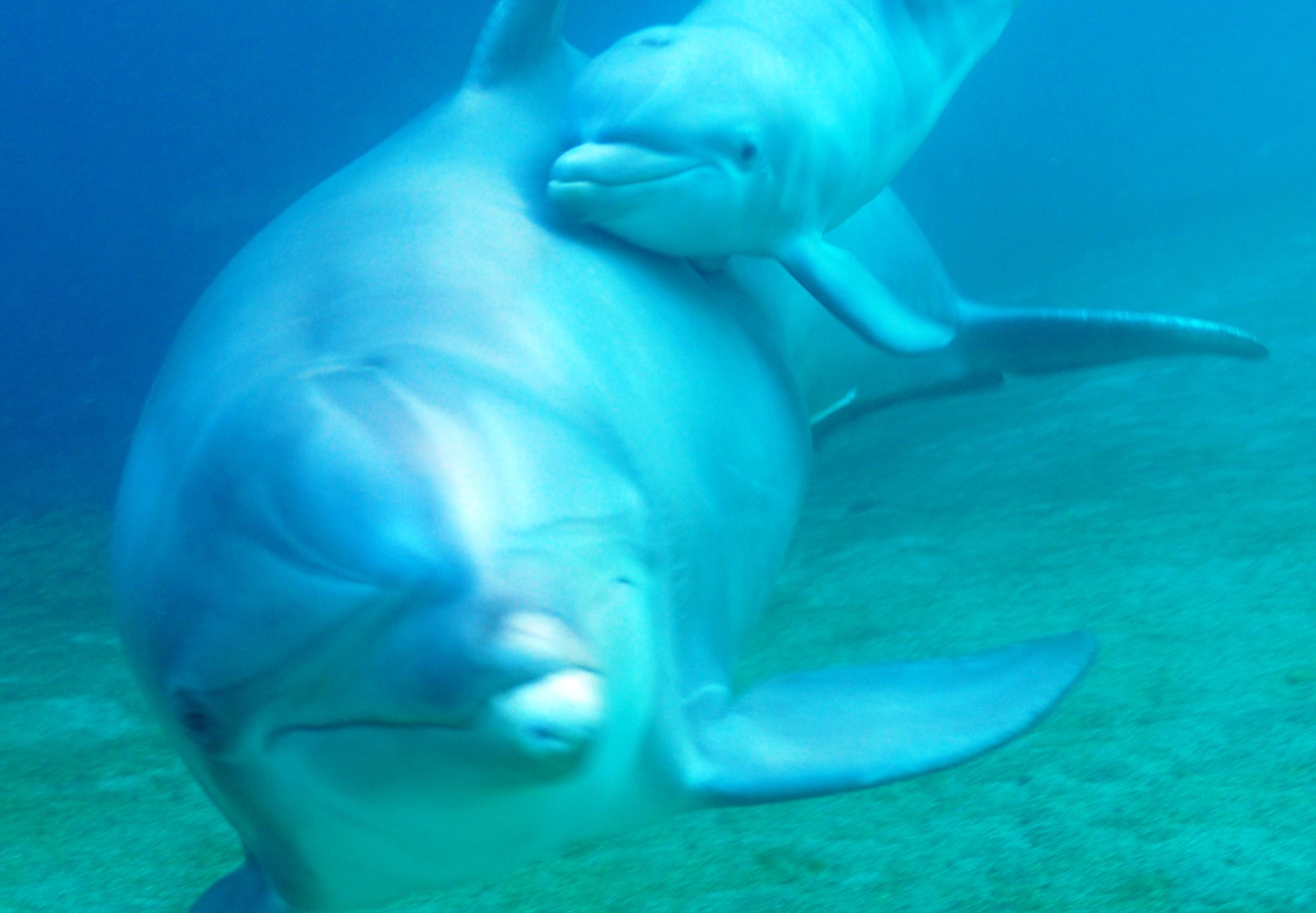 Η ημέρα σε φωτογραφίες (25 Σεπτεμβρίου 2012)