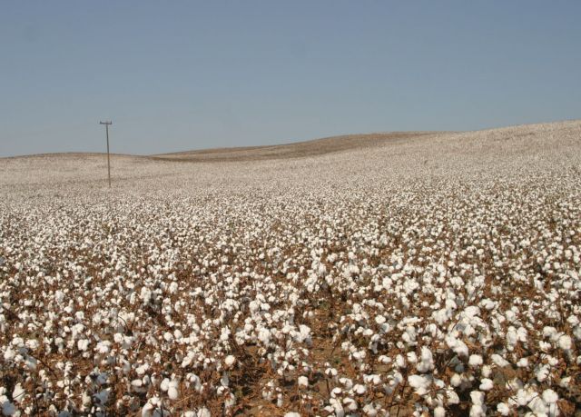 Εντολή για οικονομικό έλεγχο σε ΠΑΣΕΓΕΣ, ΓΕΣΑΣΕ και ΣΥΔΑΣΕ