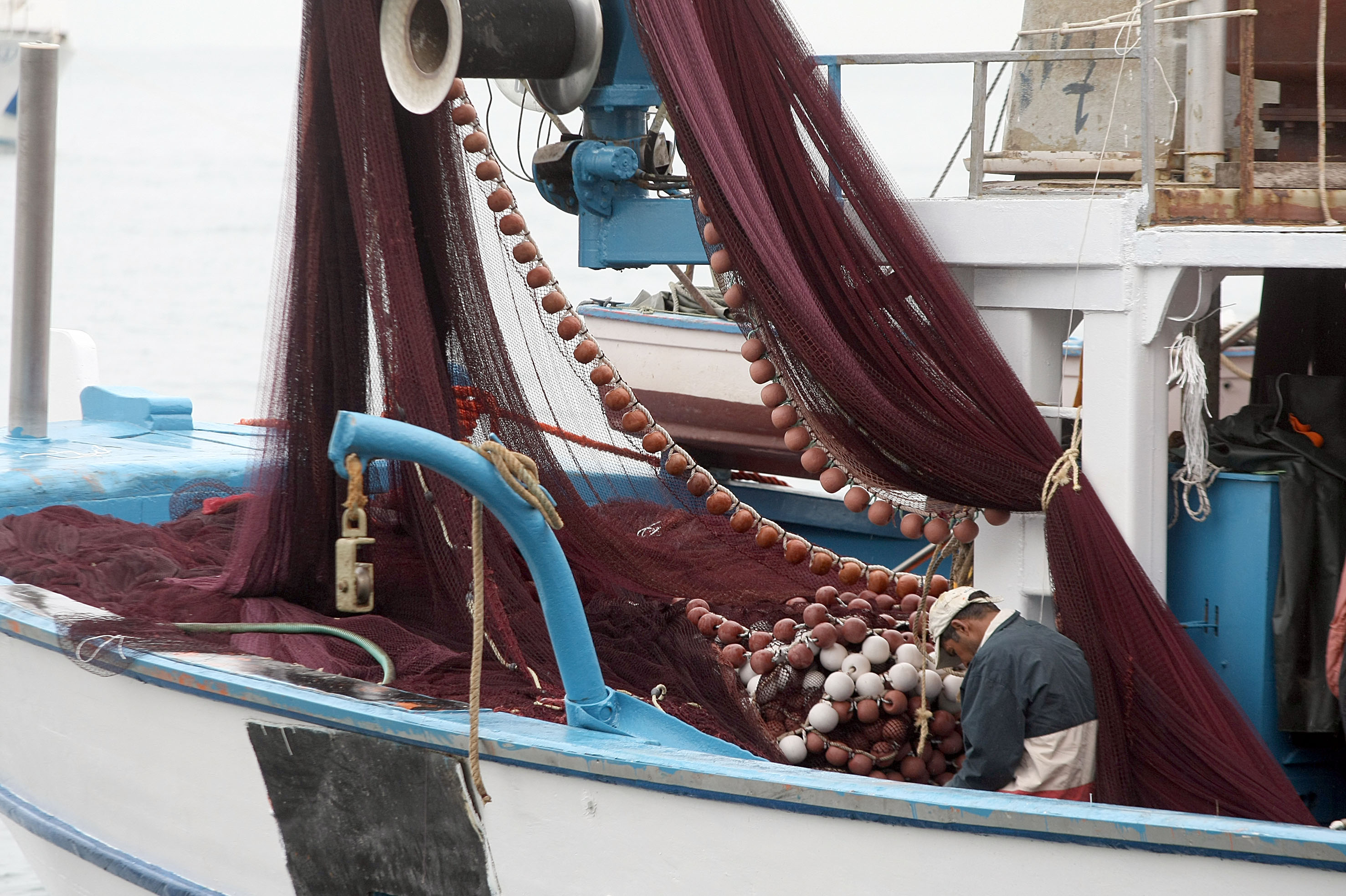 Greenpeaece:Θαλάσσια καταφύγια και ορθή επιλογή ψαριών