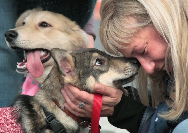Μια φωτογραφική ευχετήρια κάρτα για την Παγκόσμια Ημέρα των Ζώων