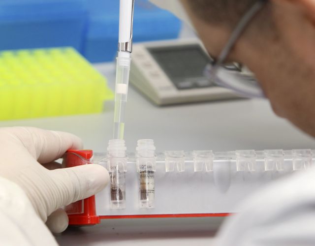 Κοντά στη δημιουργία νεφρών στο εργαστήριο βρίσκεται ομάδα ερευνητών