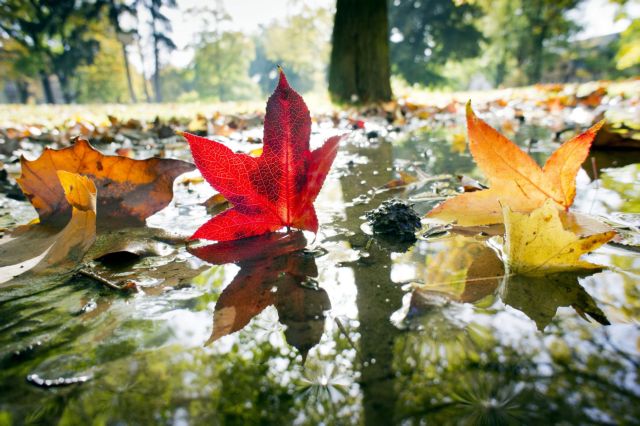 Xρώματα του φθινοπώρου σε 29 φωτογραφίες από όλο τον κόσμο