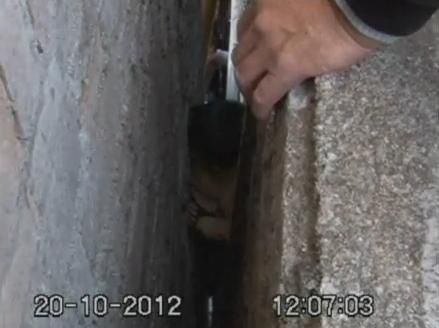 Τετράχρονος στην Κίνα που «σφήνωσε» σε δύο τοίχους απεγκλωβίστηκε με σφυριά