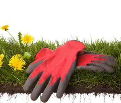 1ο Συνέδριο-Έκθεση «Ο κήπος μου»