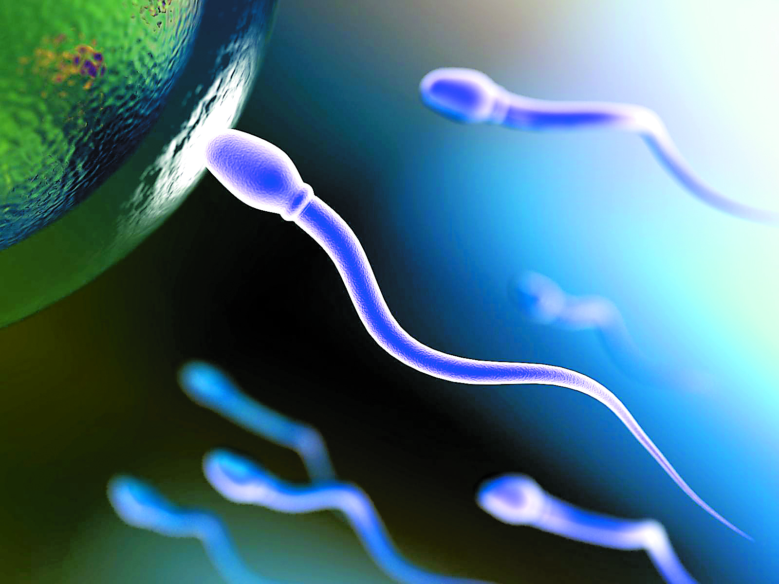 Έμβρυο από το γενετικό υλικό τριών ατόμων δημιούργησαν Αμερικανοί επιστήμονες