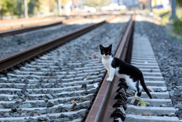 Πώς θα κινηθούν τα μέσα μαζικής μεταφοράς την Τετάρτη